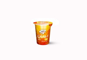 ماست همزده استارتین پرچرب 500 گرم